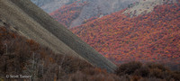 Lengas Fall Color 01.jpg